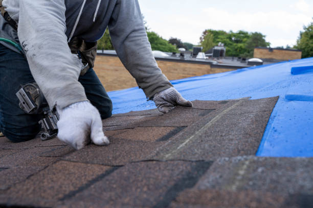 Best Roof Leak Repair  in Portola Valley, CA